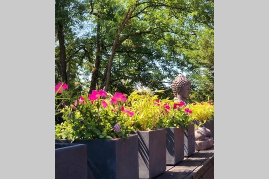 Le Cottage Zen Love フシュラン エクステリア 写真